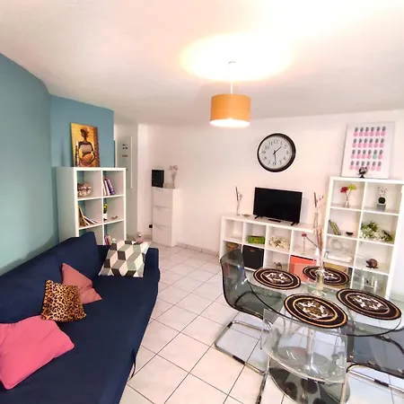 Apartment Roseraie 2 Pieces Wifi Parking *