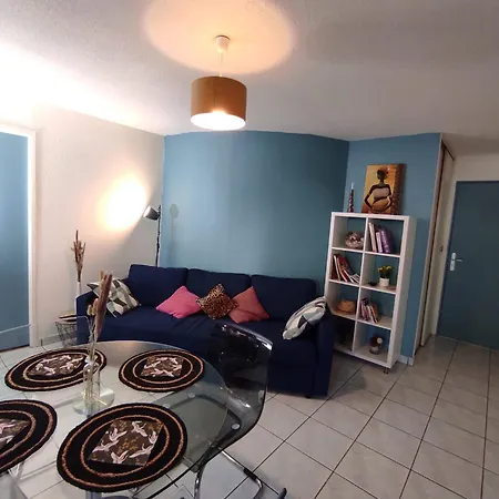 Apartment Roseraie 2 Pieces Wifi Parking Toulouse