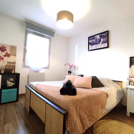 Roseraie 2 Pieces Wifi Parking Appartement